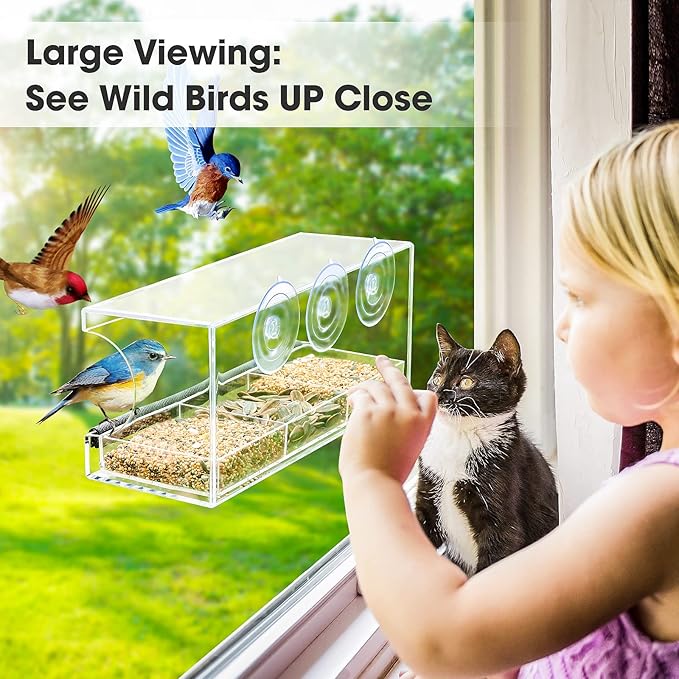 🐦🐦Window Bird Feeder for Outdoors