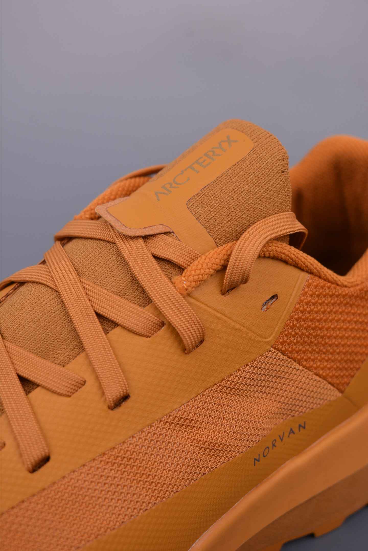 Arc'teryx Norvan LD 4 