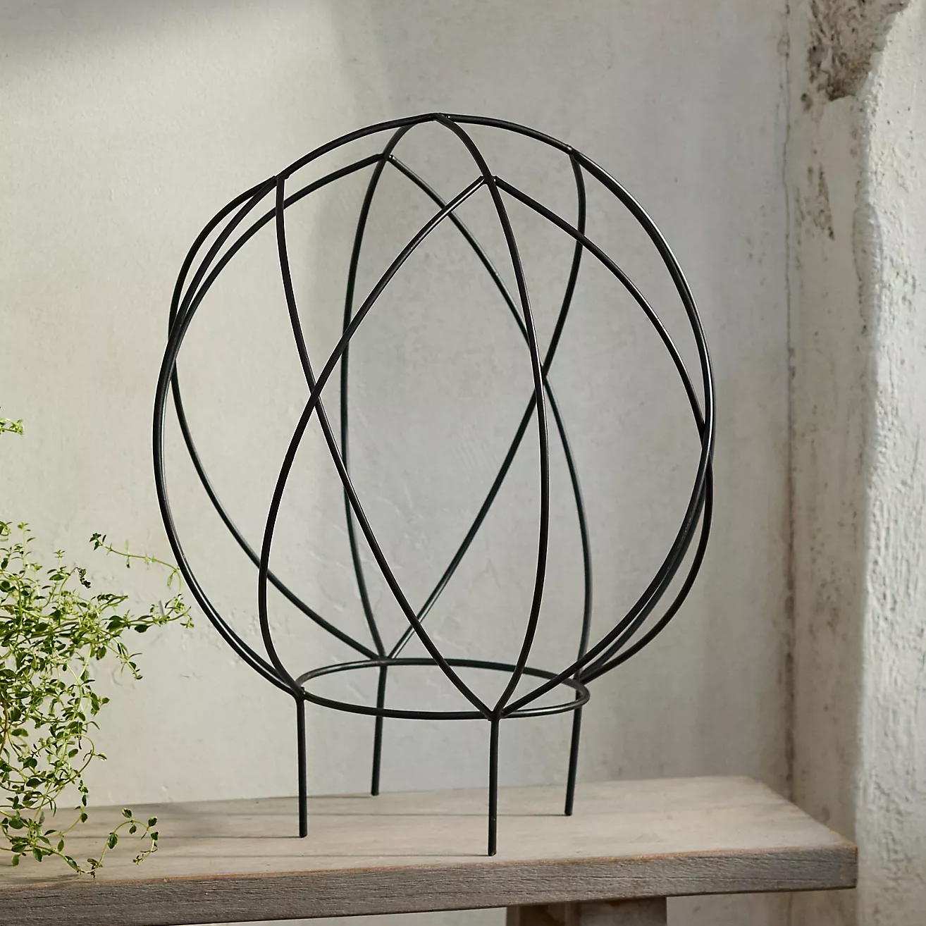 🔥On Sale🔥Globe Iron Trellis Frame