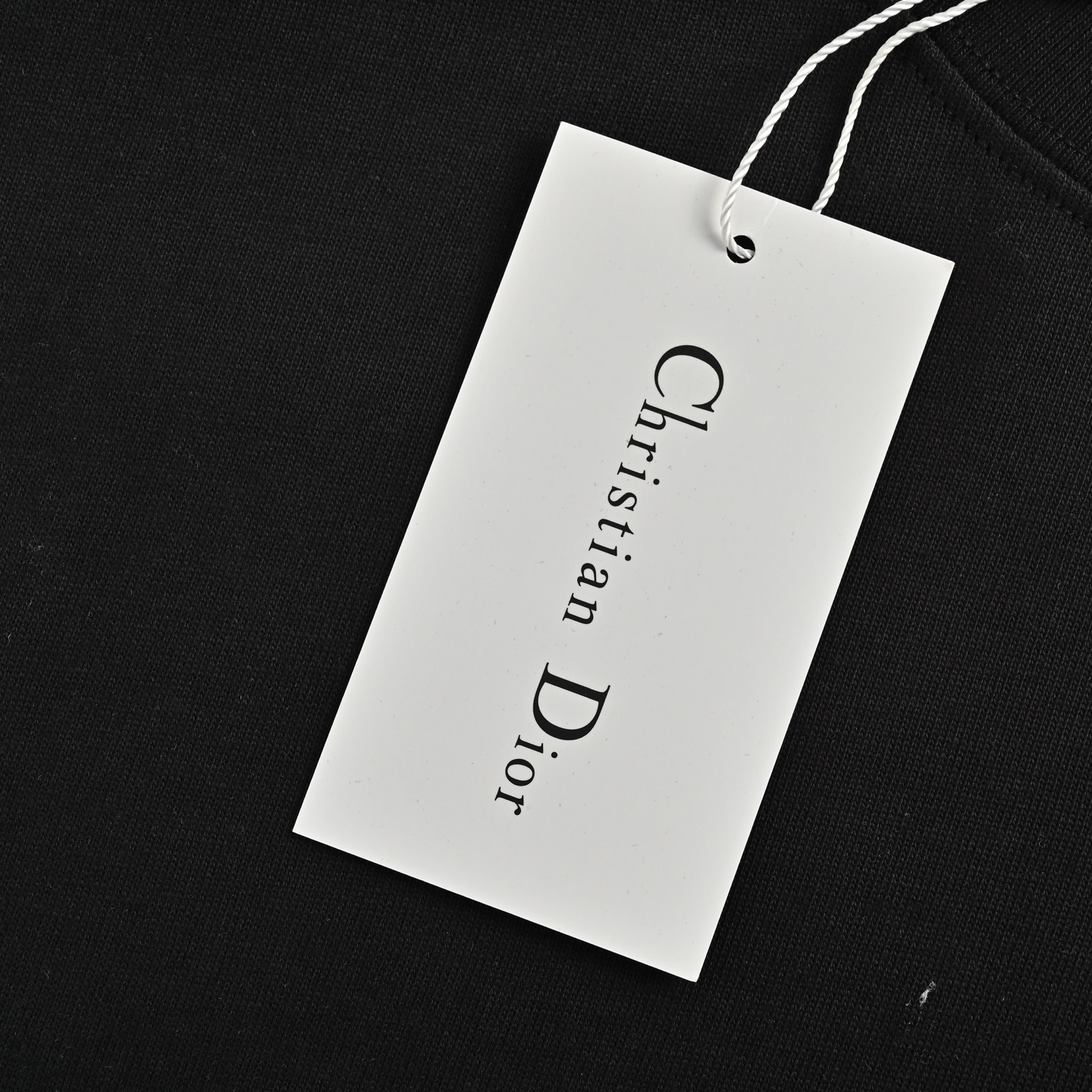 Dior 24ss small letter embroidered short sleeve