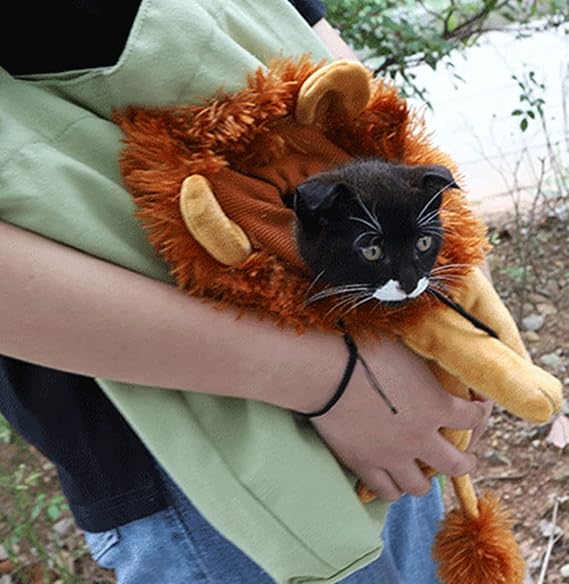 🔥Last Day Promotion-50% OFF🔥Pet Canvas Shoulder Bag