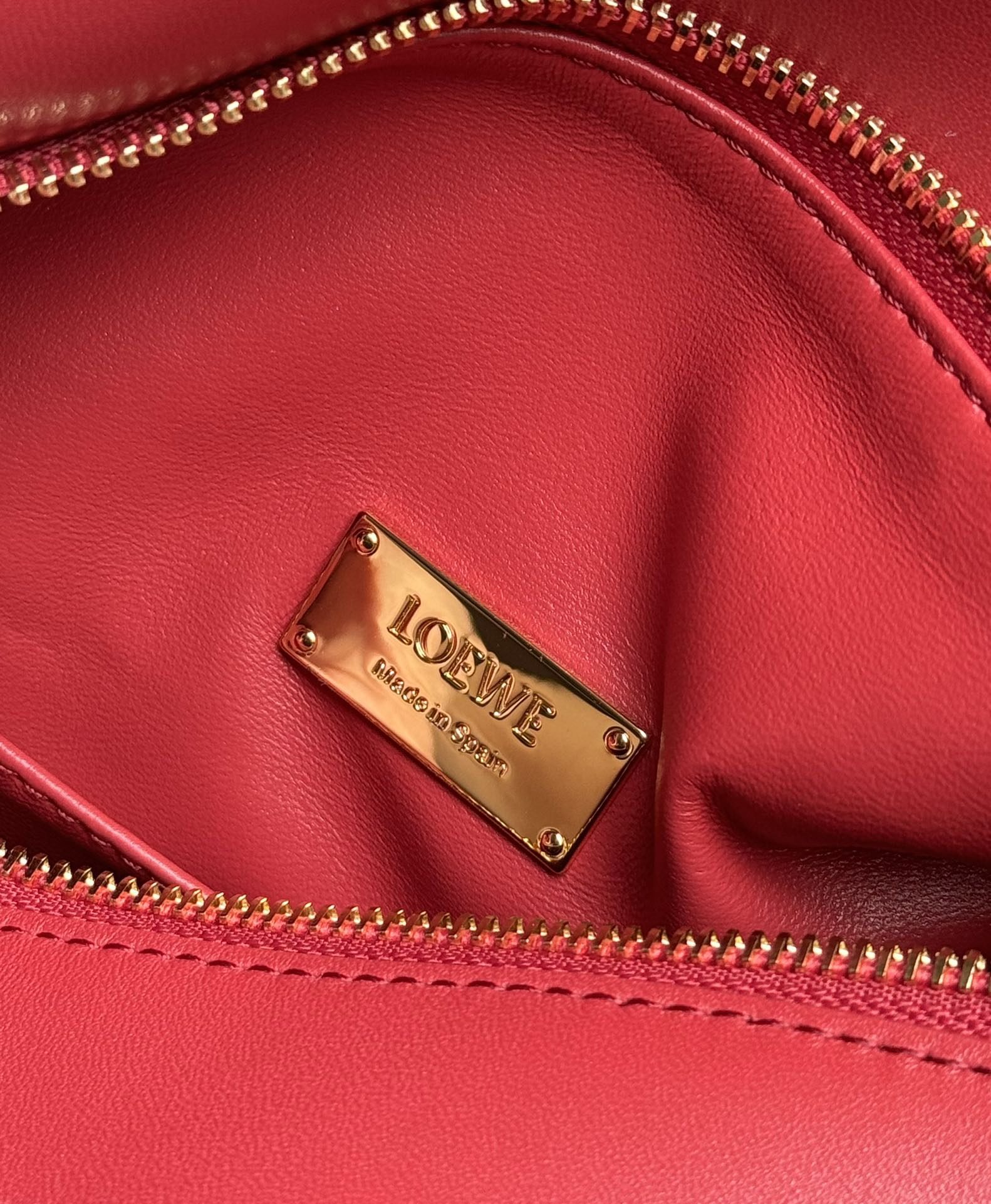 Loewe 10th Anniversary Bag 0189