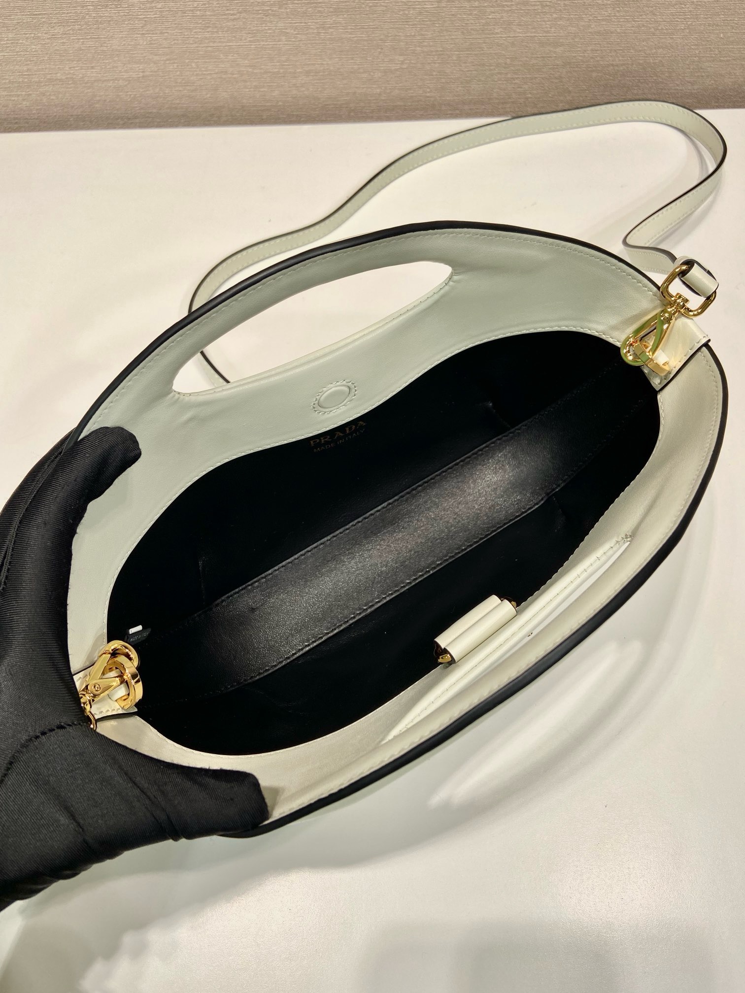 Prada Dumpling Bag 1BA421