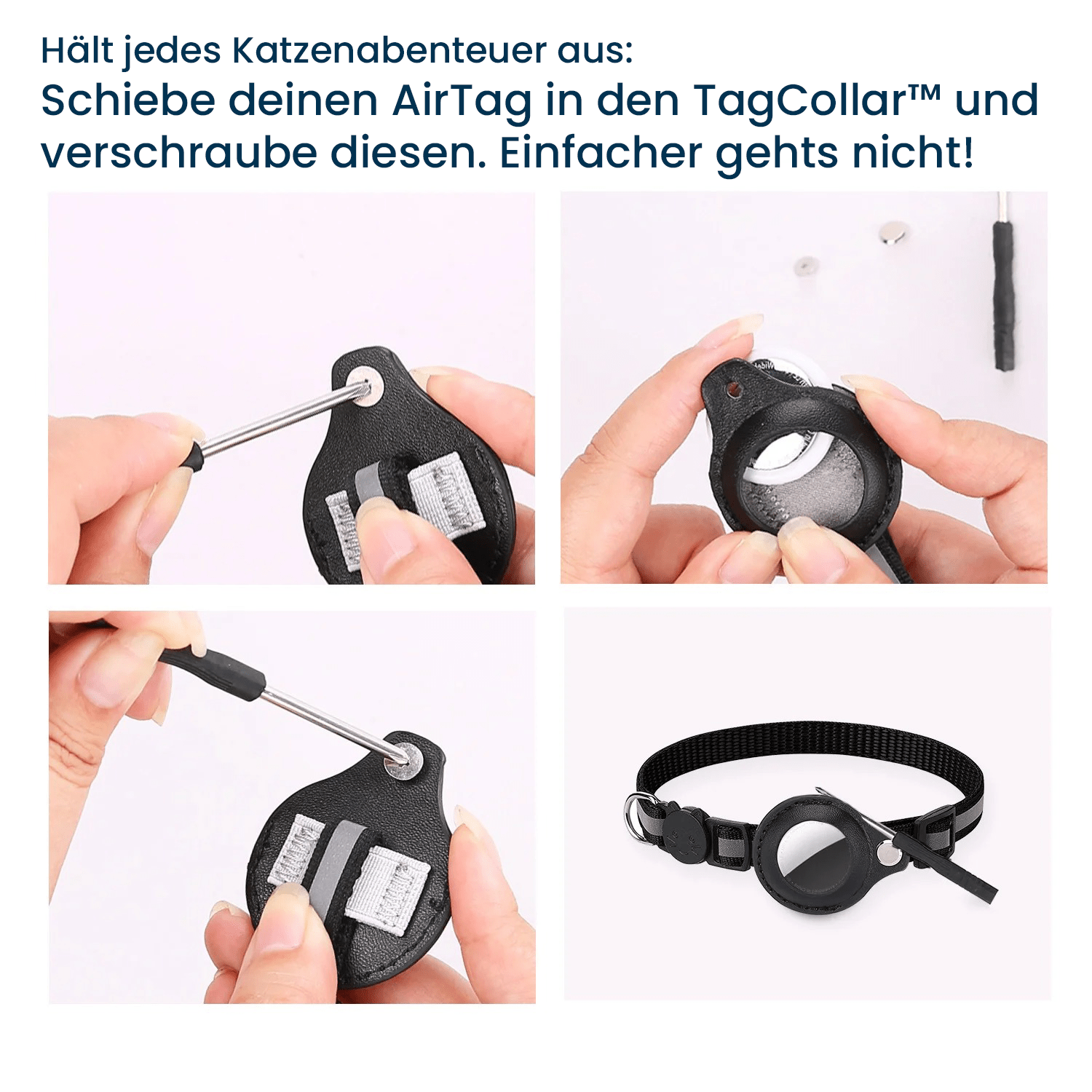 FellPet - TagCollar