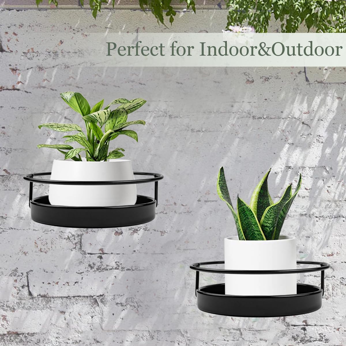 🔥On Sale🔥Wall Mounted Metal Flower Pot Plant Holder