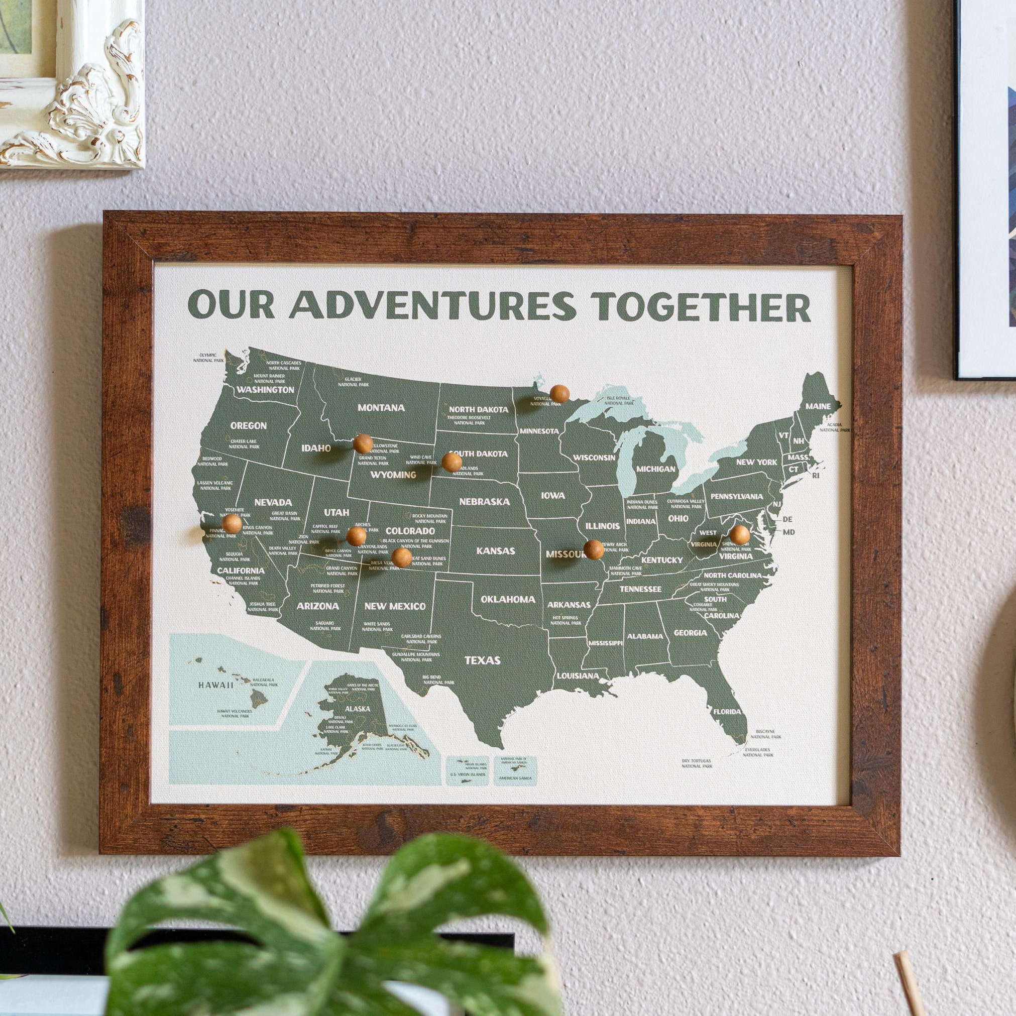 National Parks Push Pin Map – Personalized Adventure Map, Track Your National Park Travels ,11x14