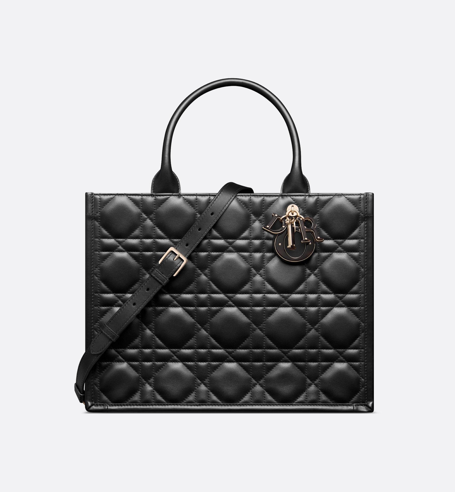 Dior Medium Book Tote Bag M1324OWHQ_M900