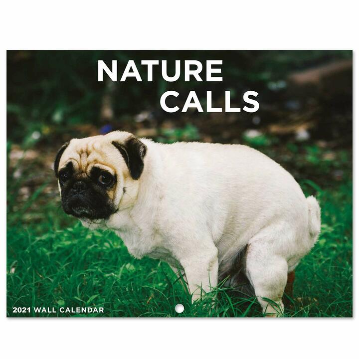 2021 Pooping Pooches White Elephant Gag Gift Calendar Calendar