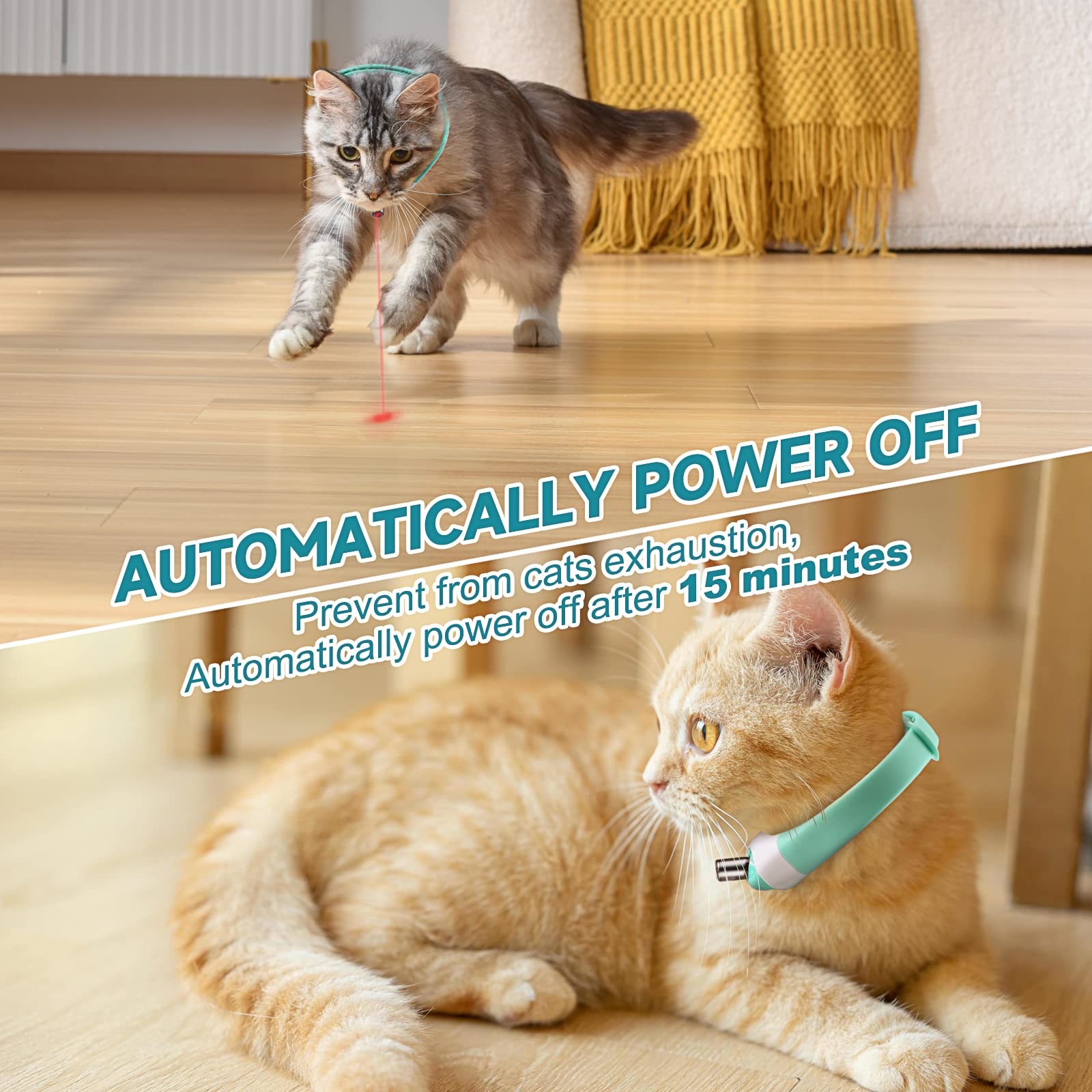 (🌲Early Christmas Sale- SAVE 49% OFF)Electric Smart Amusing Collar for Kitten-⏰BUY 2 GET 12% OFF & FREE SHIPPING