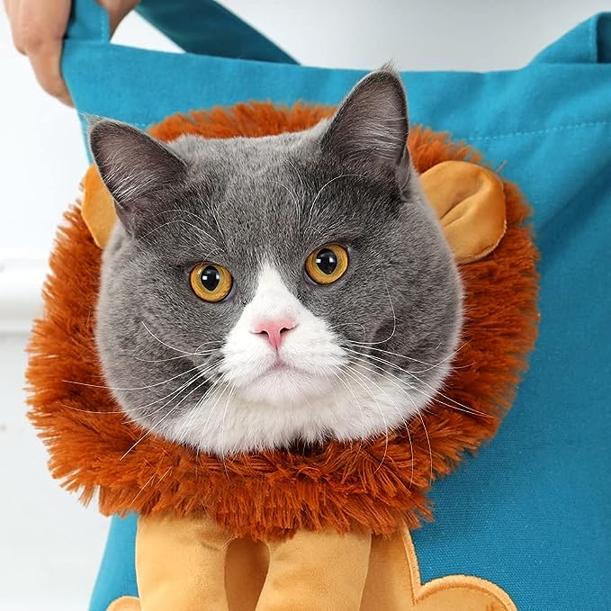 🔥Last Day Promotion-50% OFF🔥Pet Canvas Shoulder Bag