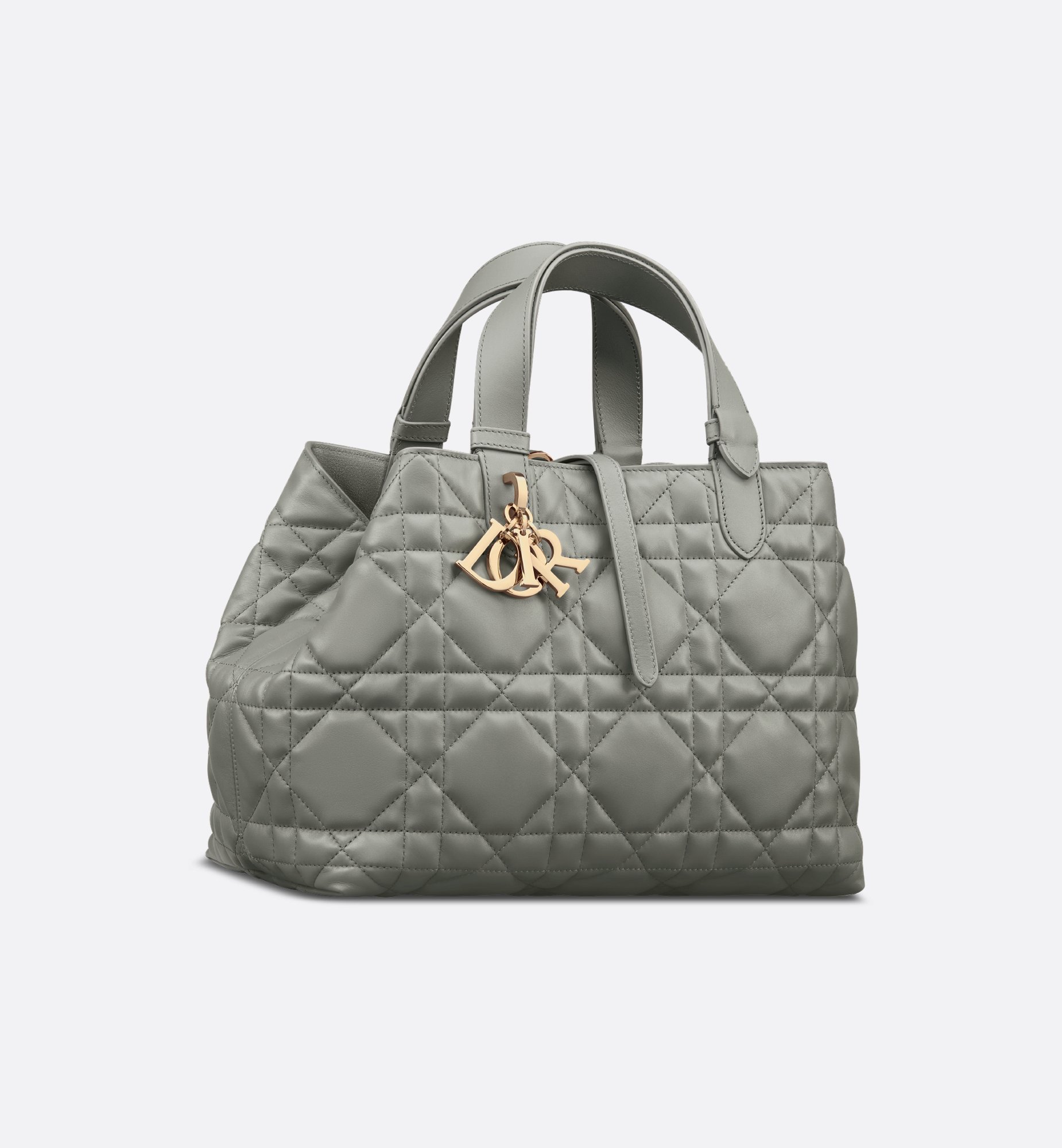 Dior Medium Dior Toujours Bag M2821OSHJ_M41G