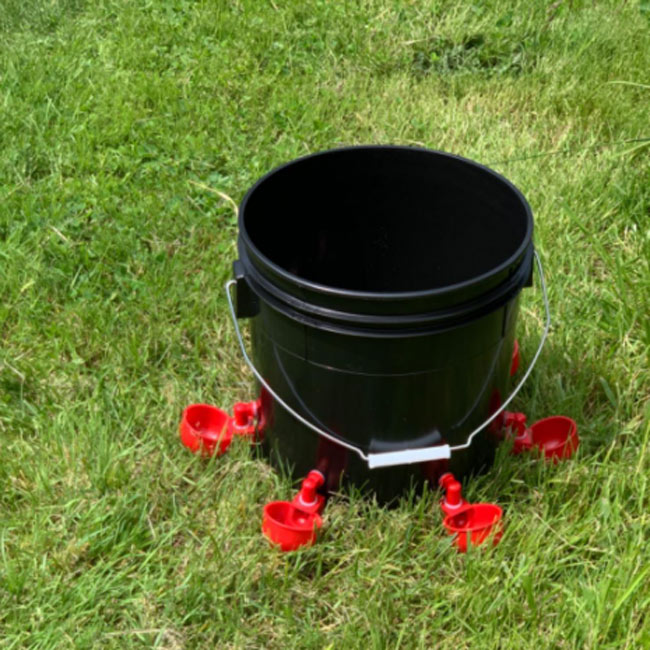 (🔥Early Christmas Sale- SAVE 48% OFF)  6PCS/SET Automatic Chicken Water Cup Waterer Kit-BUY 2 GET 1 FREE