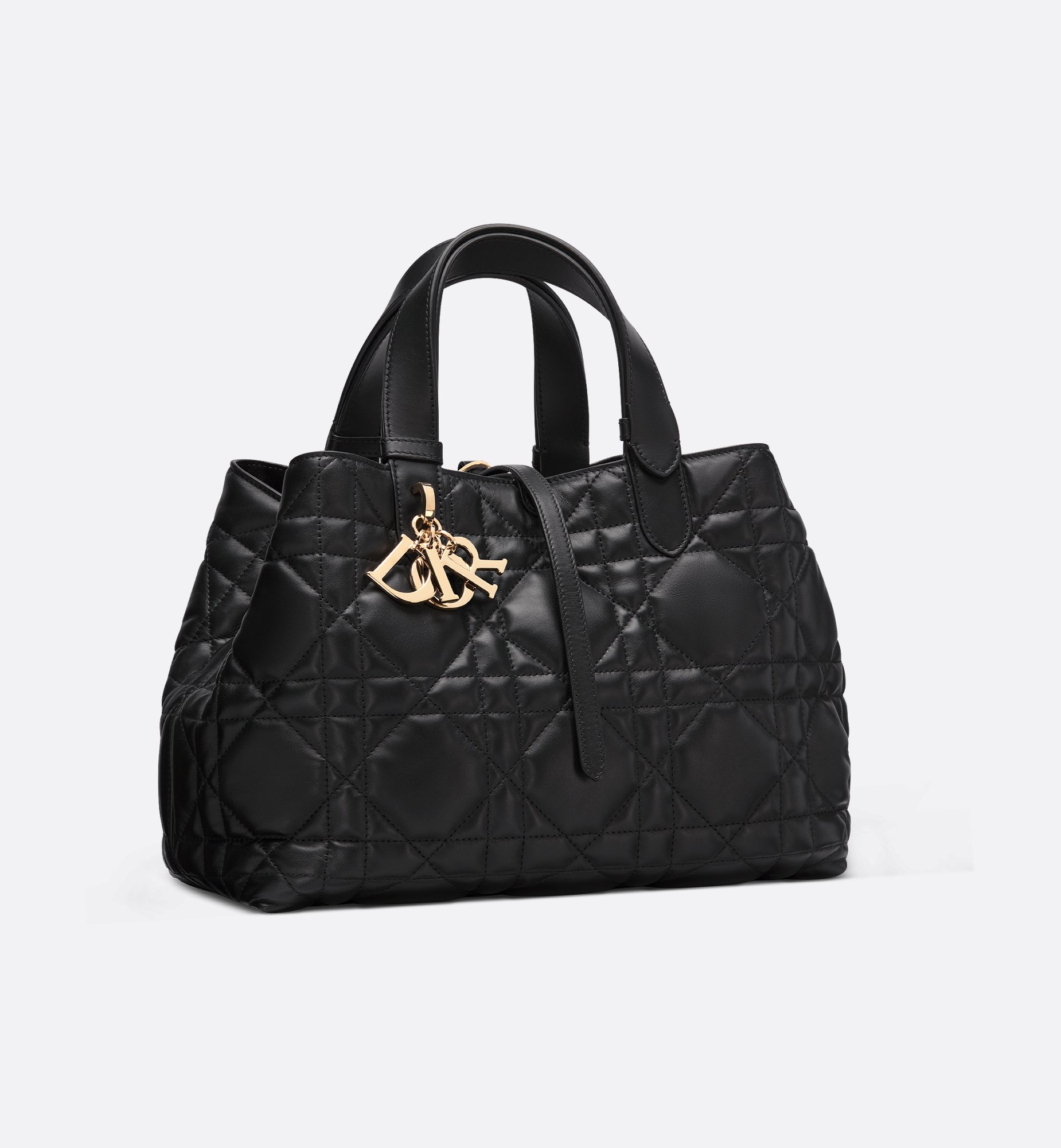 Dior Medium Dior Toujours Bag M2821OSNW_M900
