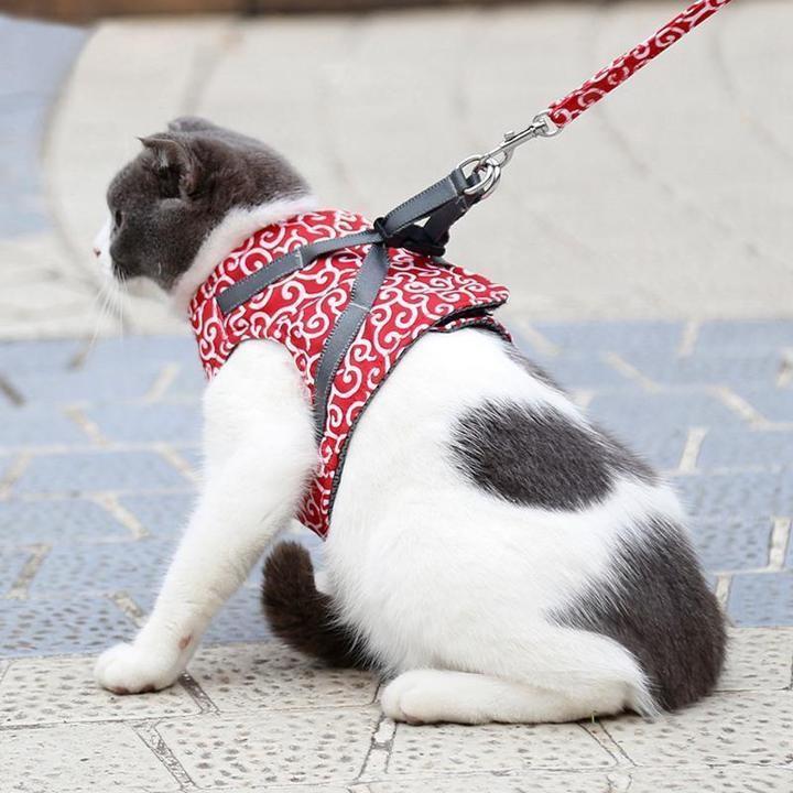(🎁CHRISTMAS PRE SALE - 48% OFF)CAT VEST HARNESS AND LEASH SET TO OUTDOOR WALKING