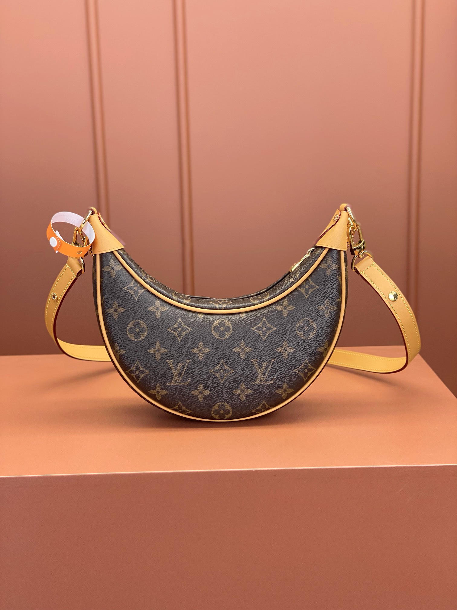 Louis Vuitton LOOP Handbag M81098