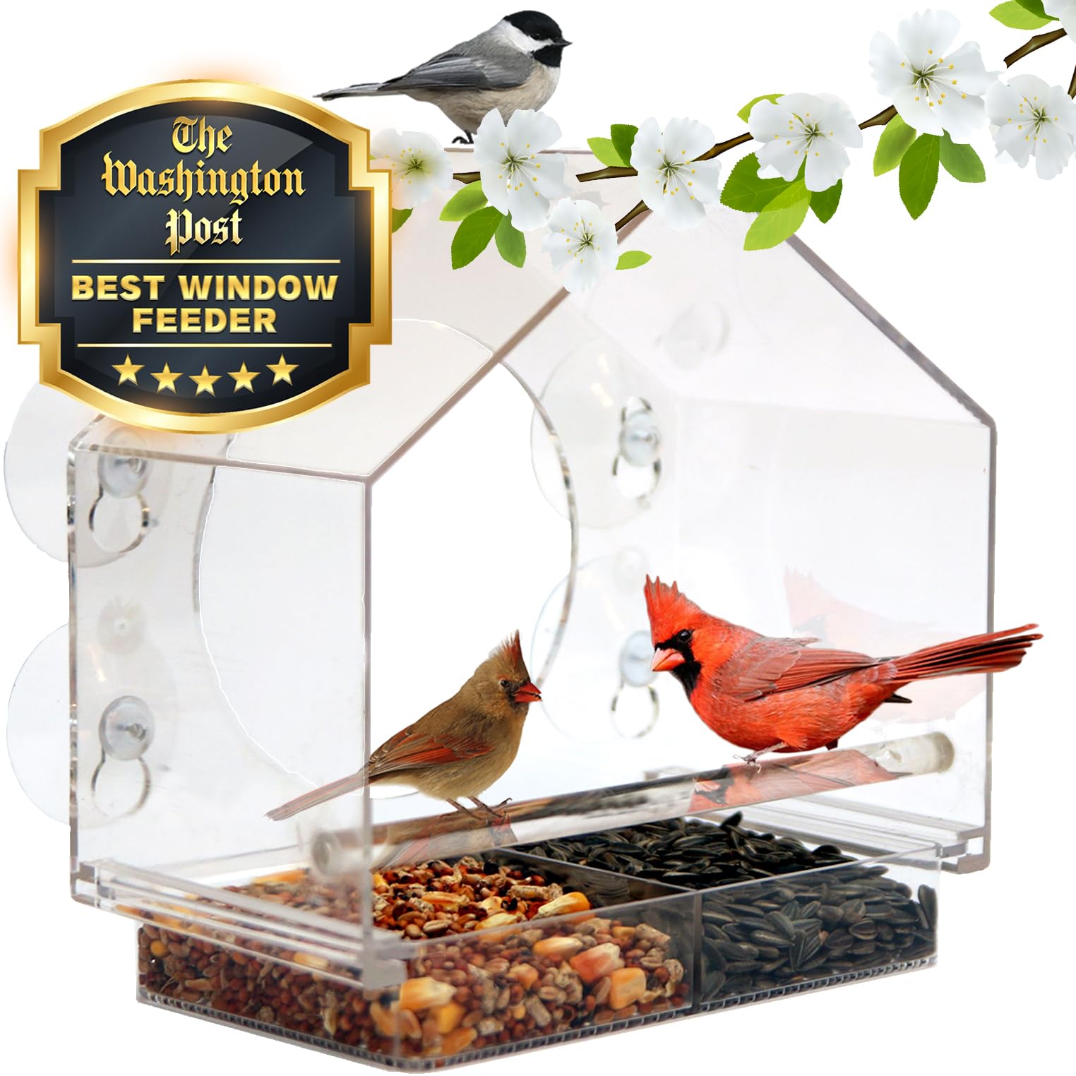 2024 New Year Promotion--Window Bird Feeders with Strong Suction Cups