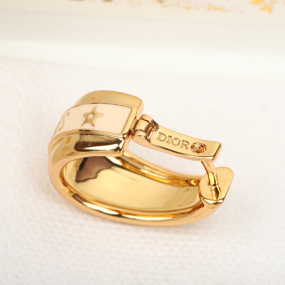 Dior Letter Earrings