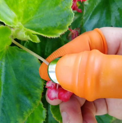 Harvesting Thumb Knife  (BUY 2 GET 1 FREE)