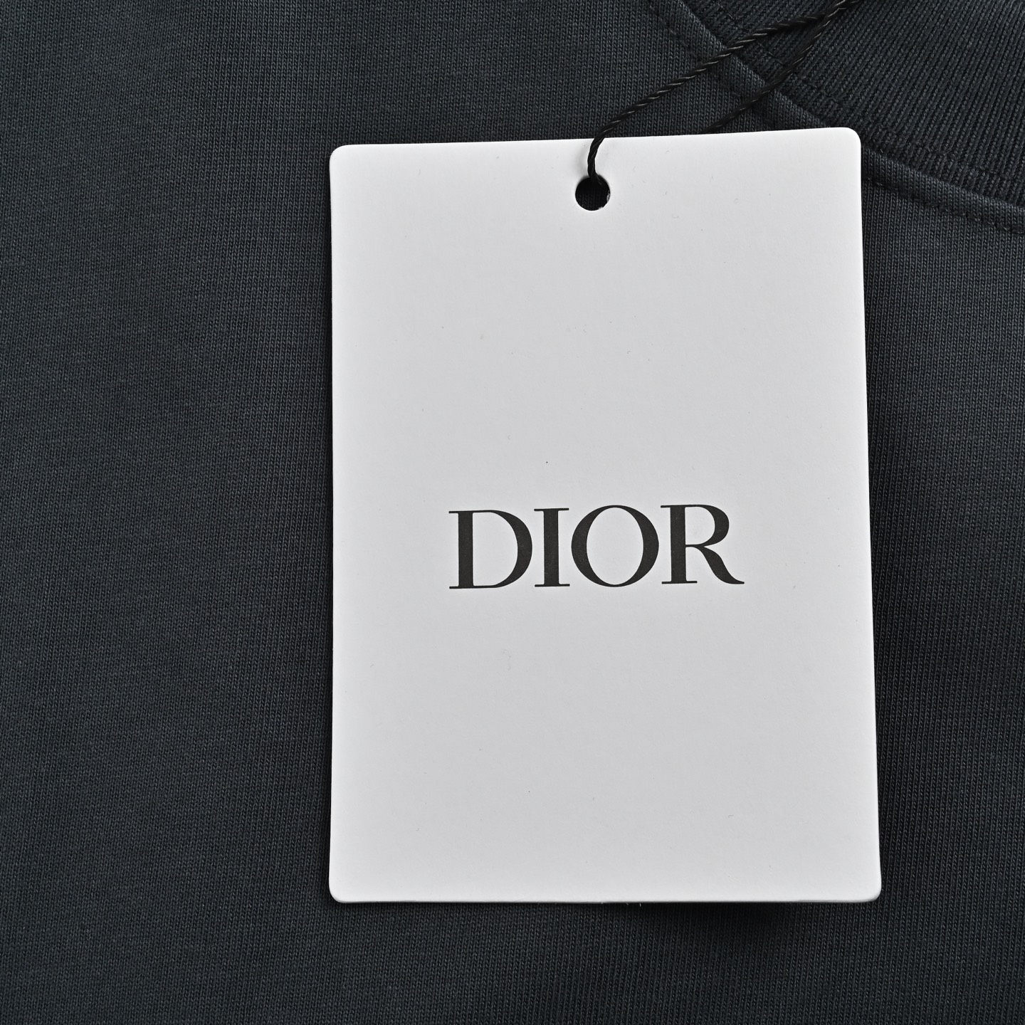 Dior 25ss ski collection embroidered logo short sleeve