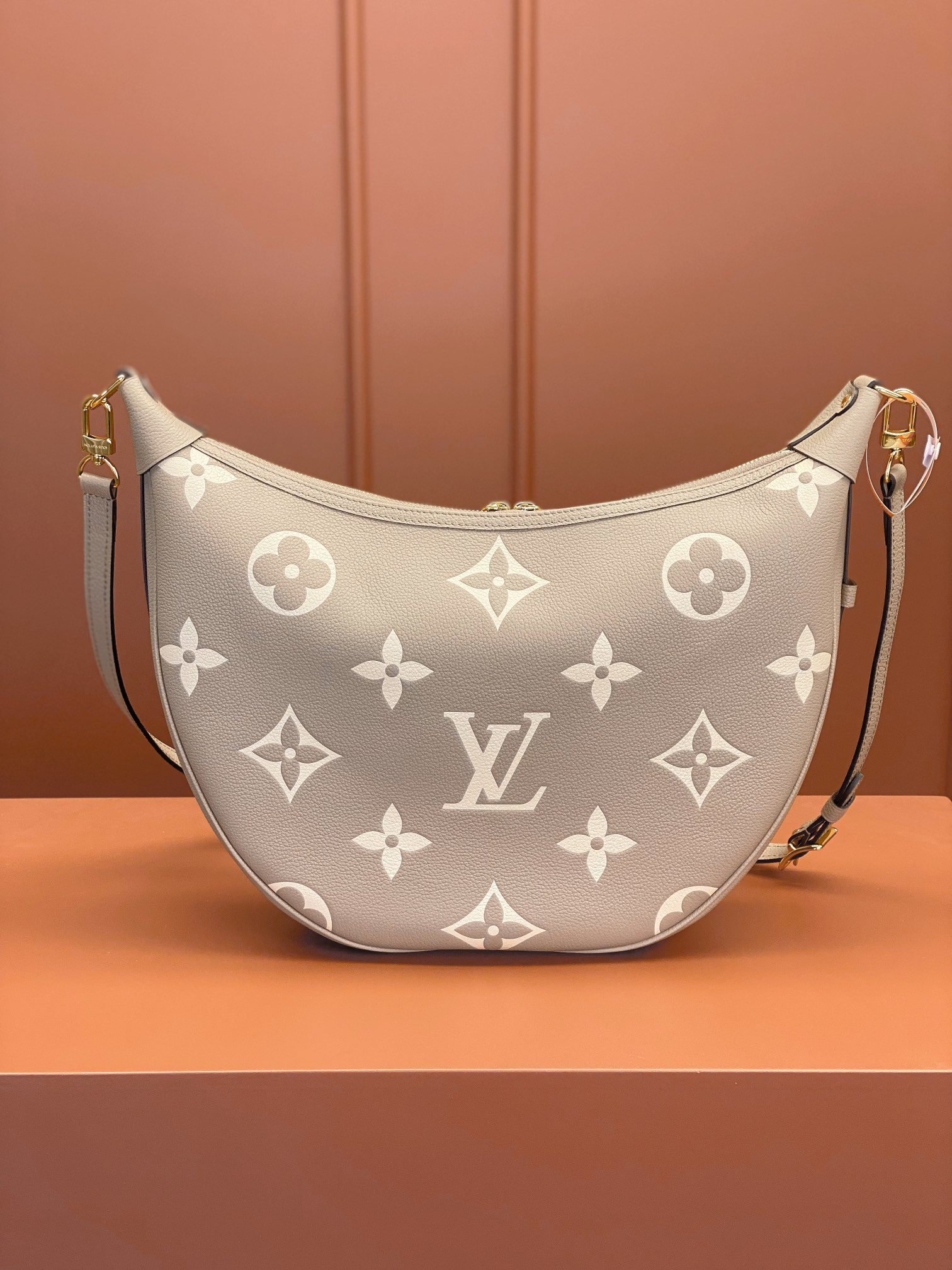 Louis Vuitton LOOP HOBO Handbag M46738