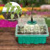 Adjustable Humidity Seed Starter Trays with Grow Light