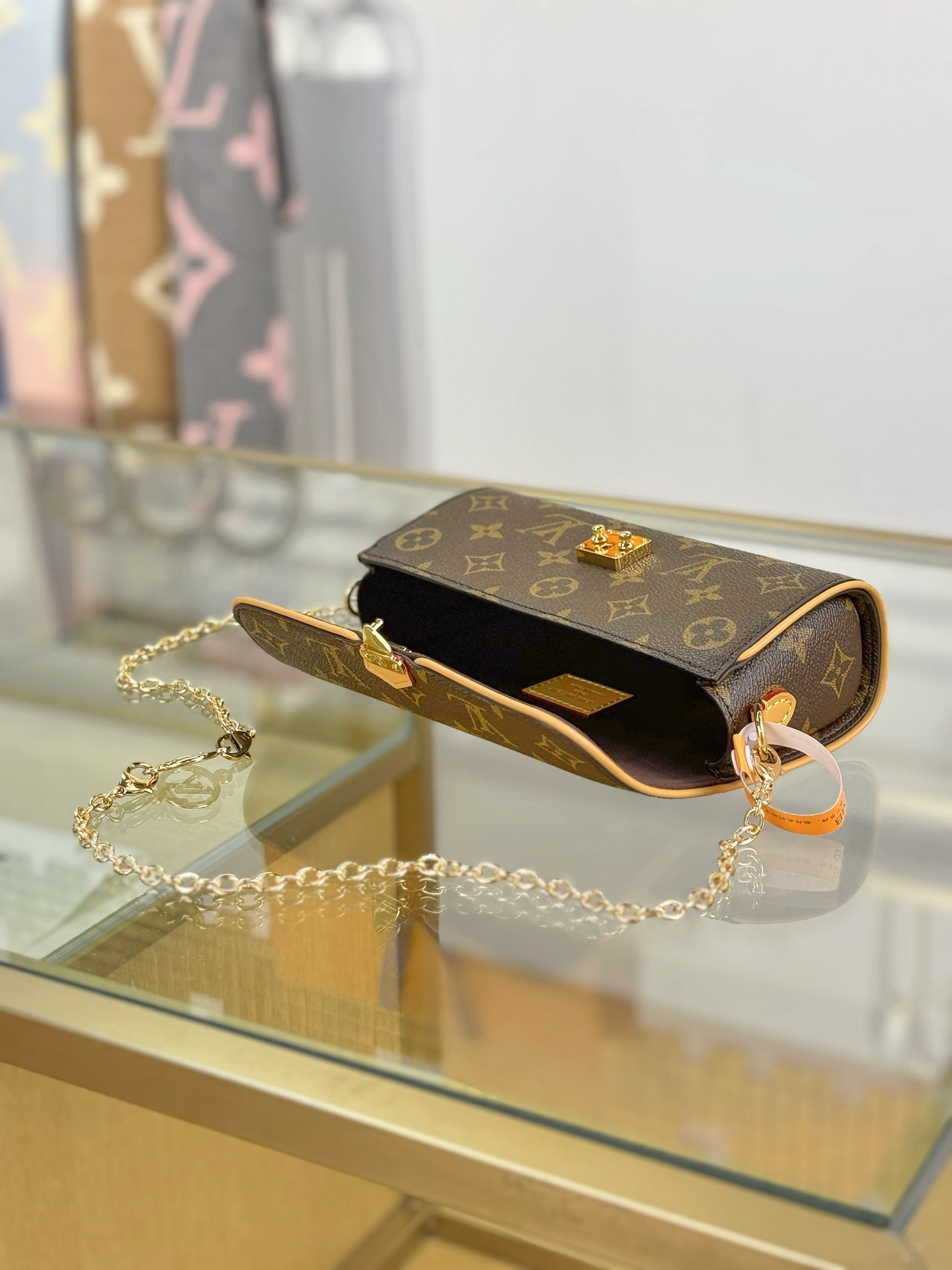 Louis Vuitton POCHETTE CAMILLE Handbag M13566
