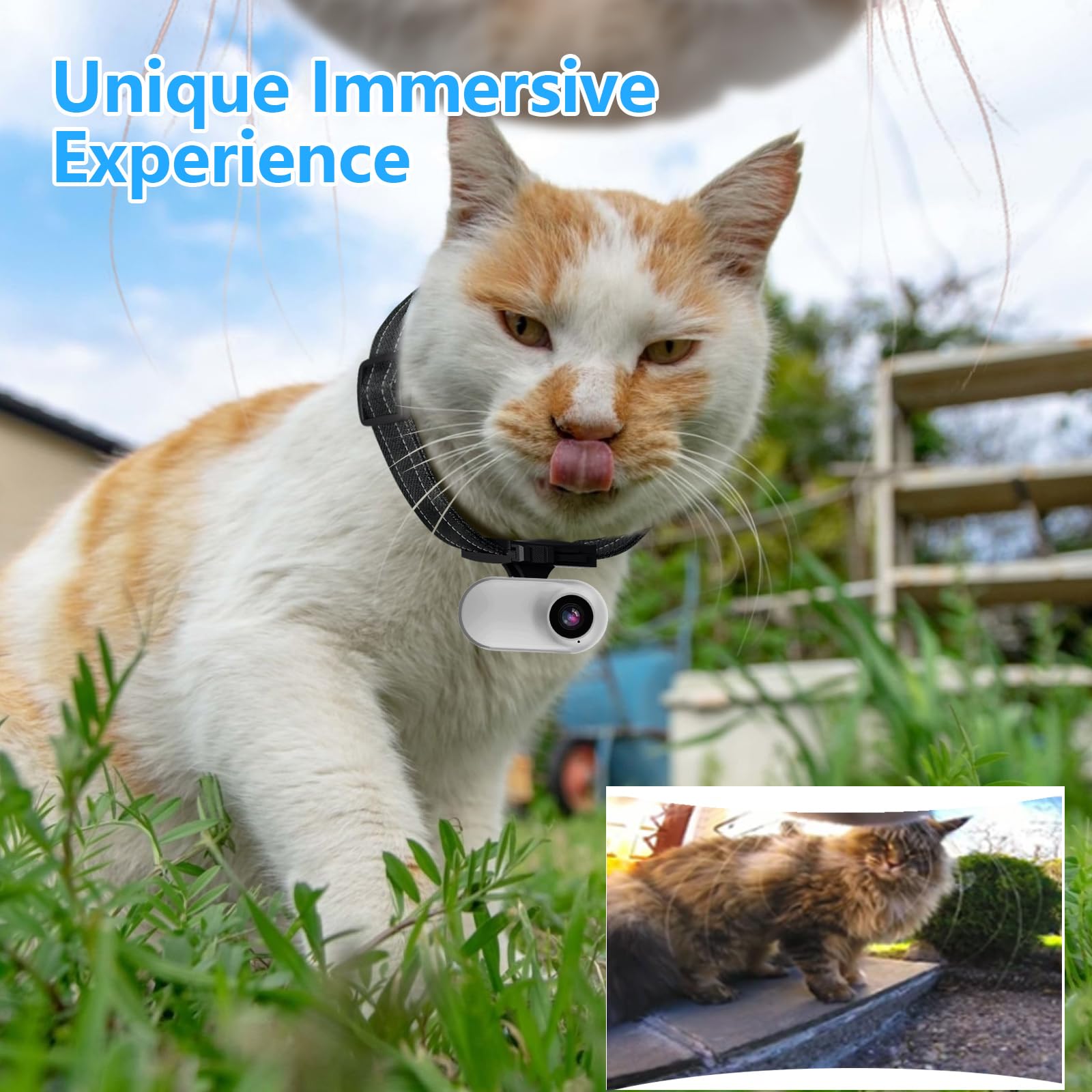 🔥Last Day 50% OFF🔥HD 1080P Cat Camera Collar