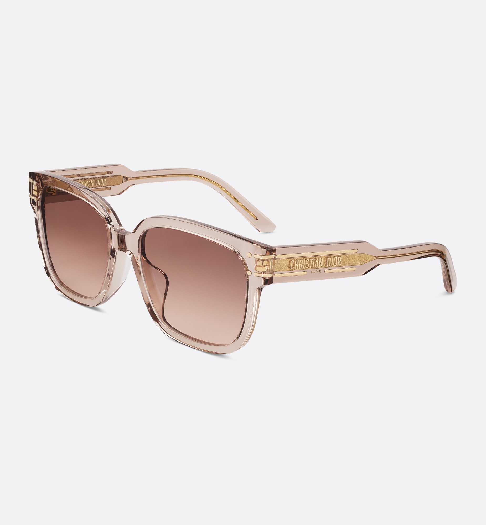 Dior DiorSignature S7F Sunglasses DSGTS7FXR_78F1