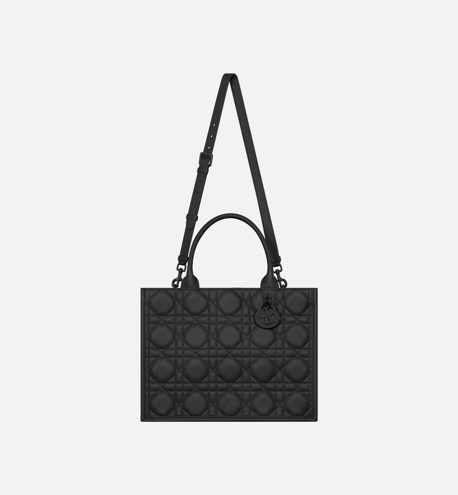 Dior Medium Book Tote Bag M1324SLOI_M900
