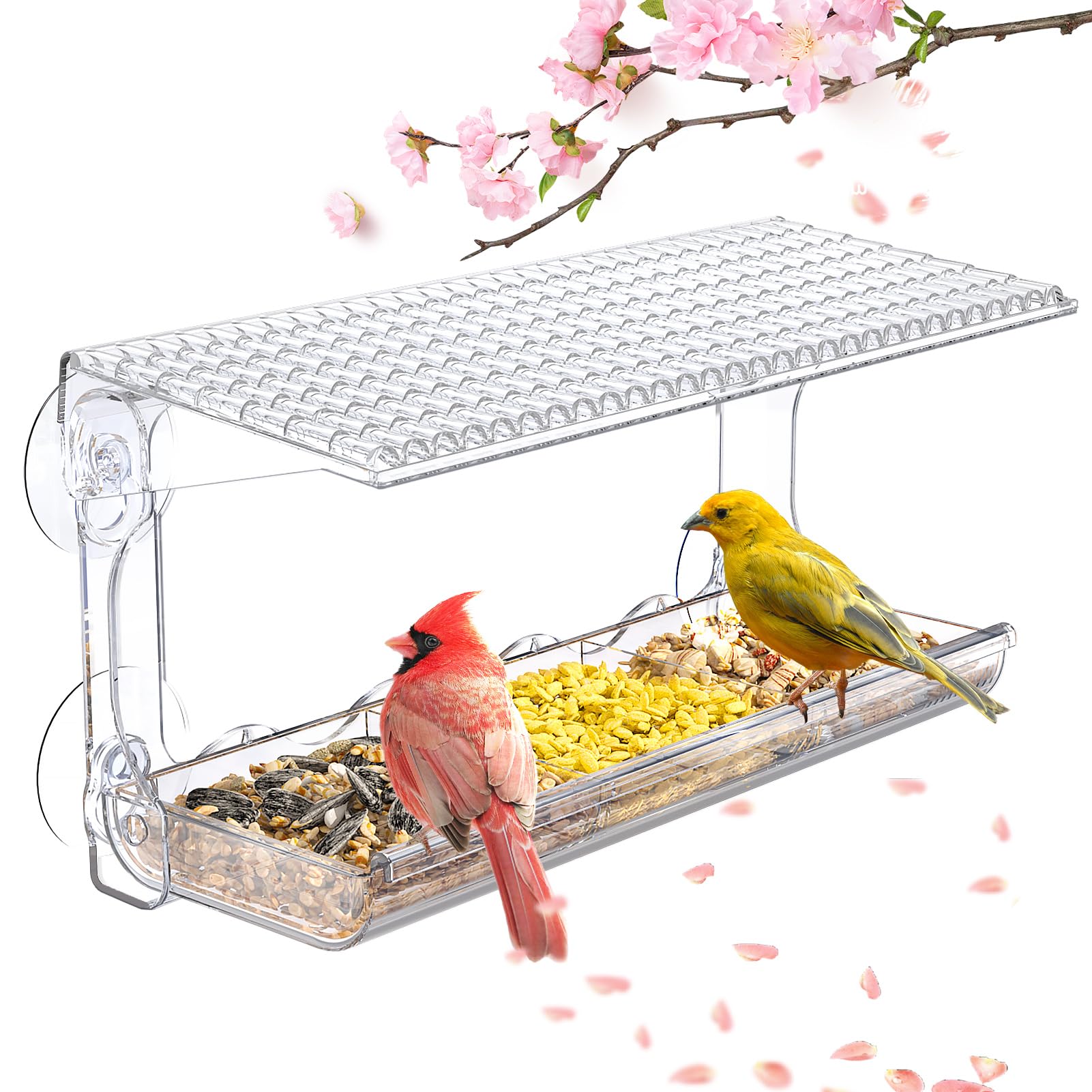 🔥Hot Sale🔥3-Compartment Tray Clear Window Bird Feeder-180° Clear View🐦✨
