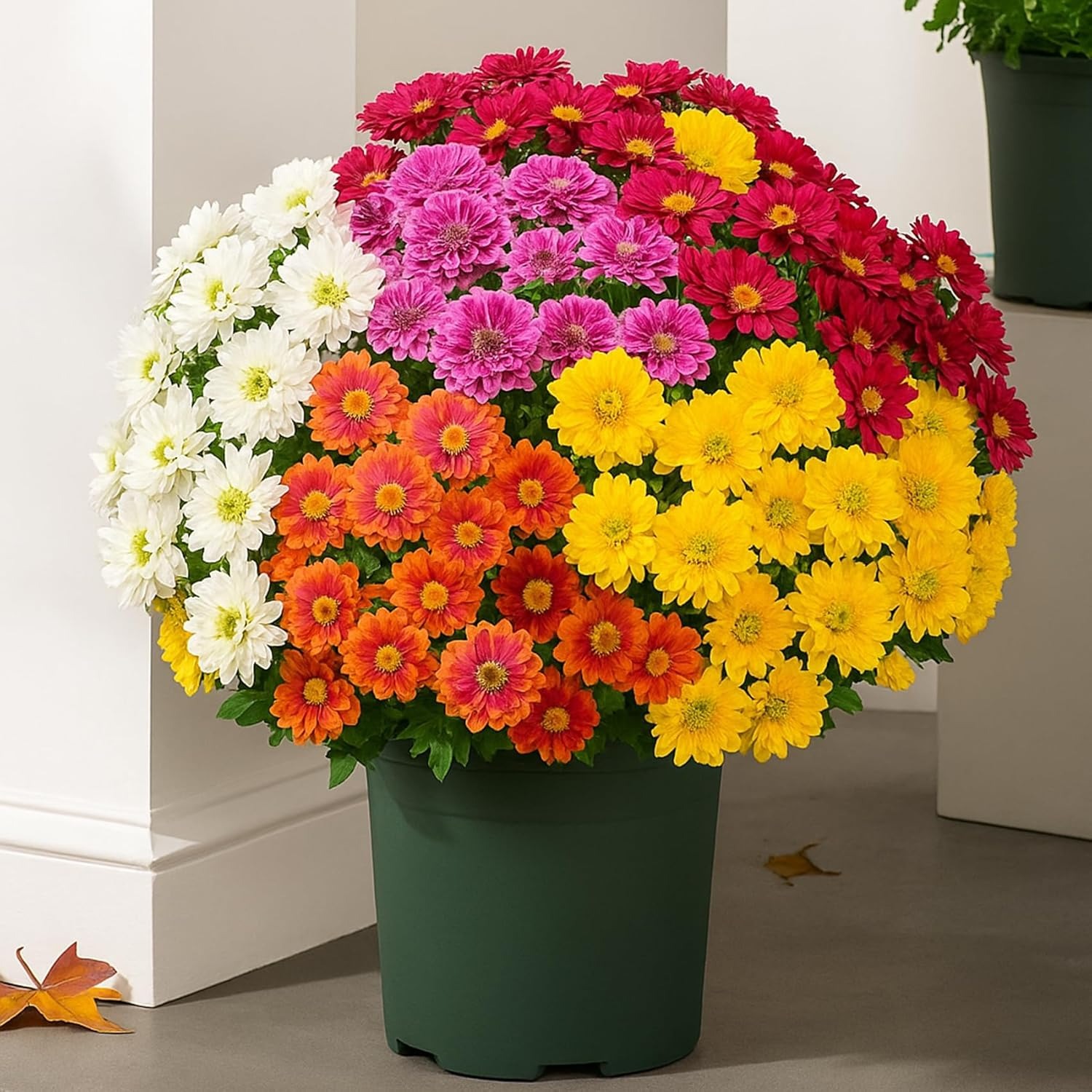 💥ON SALE💥- Artificial Outdoor Sunset Mums Flowers - UV resistant, Waterproof, Windproof