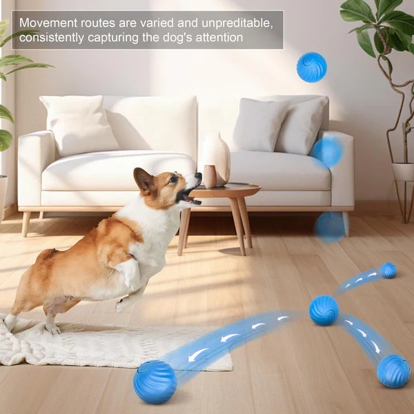 🔥Electric Rolling Pet Toy Ball
