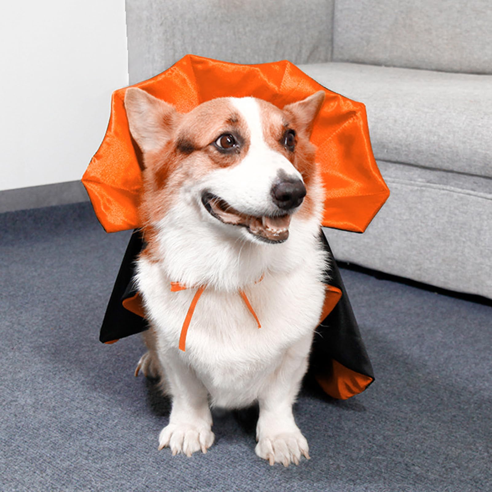 🦇Vampire Cloak Halloween Pet Cosplay🐾