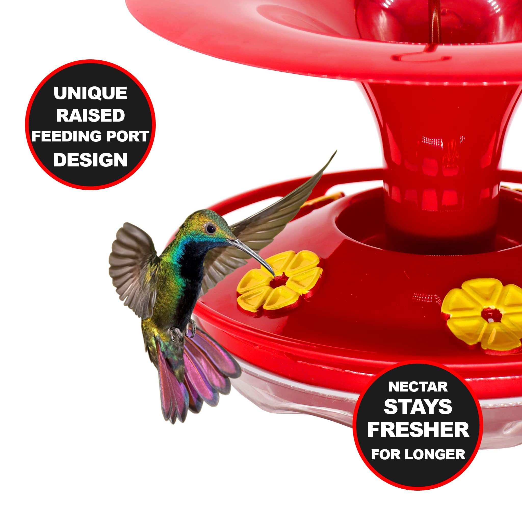 🔥HOT SALE 50% OFF🔥Hanging New Outdoor Hummingbird Feeder🐦