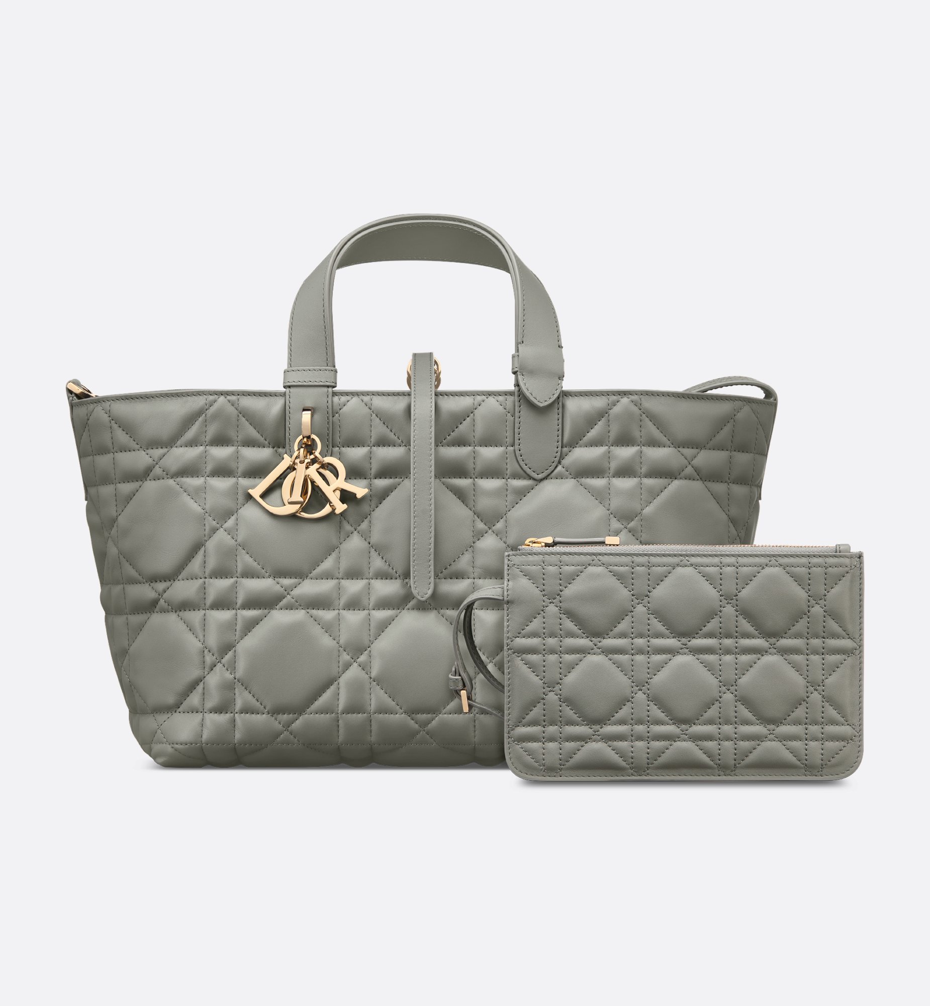 Dior Medium Dior Toujours Bag M2821OSHJ_M41G