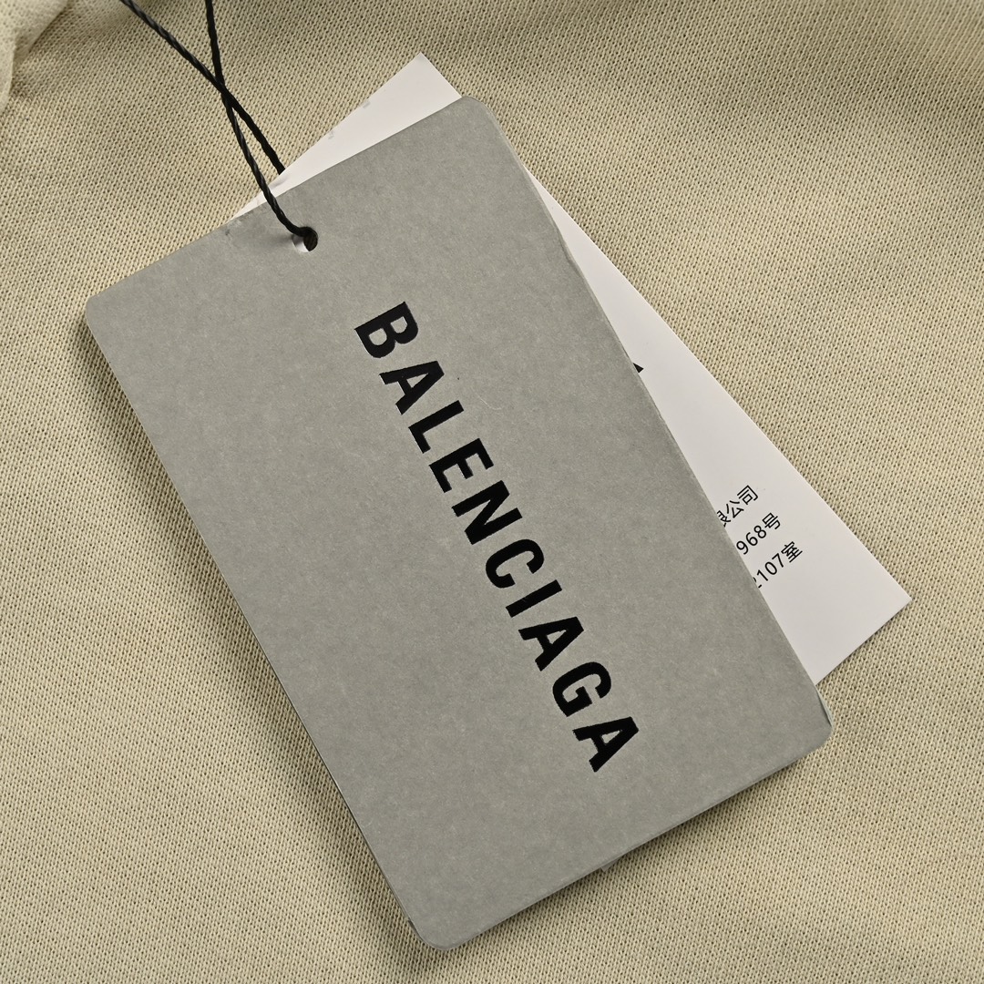 Balenciaga 24Fw hoop embroidery totem distressed zipper hooded jacket