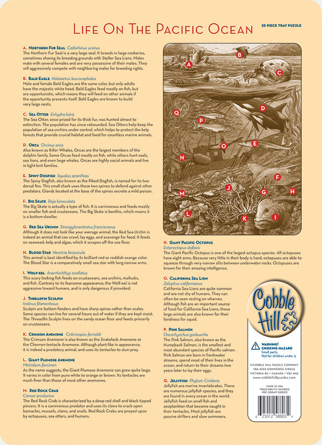 Life on the Pacific Ocean (tray) | 35 Piece Tray