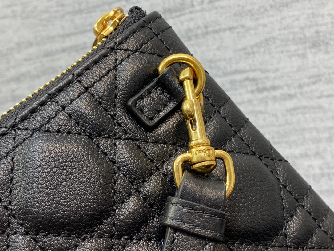 Dior Caro Daily Clutch