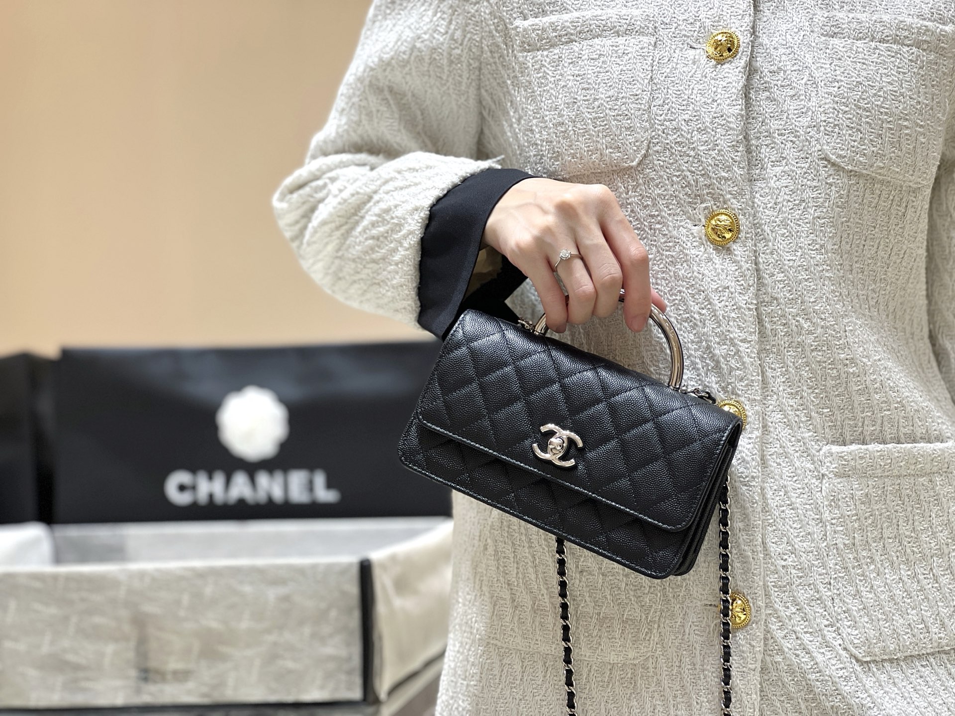 Chanel 25P Spring/Summer Preview Series Limited Edition Organ Bag AP4498