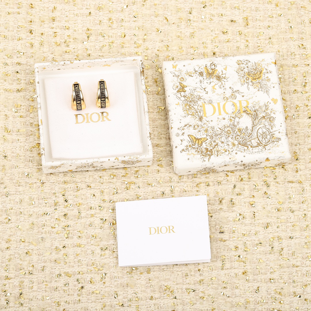 Dior Letter Earrings