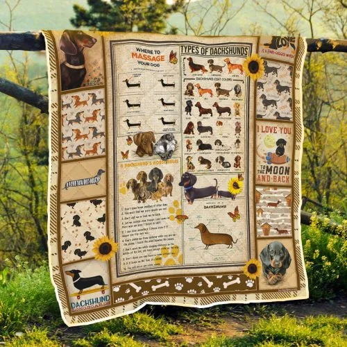 Dachshund Knowledge Quilt Blanket