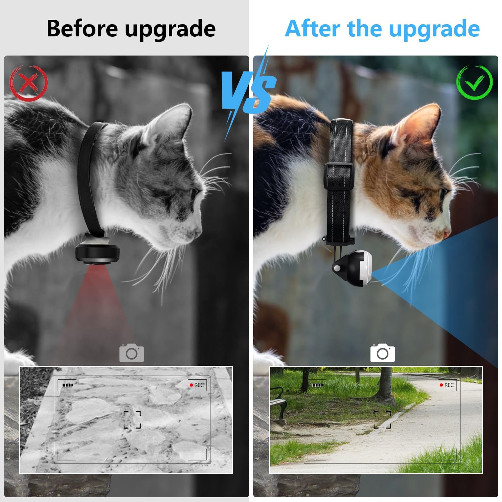 🔥Last Day 50% OFF🔥HD 1080P Cat Camera Collar