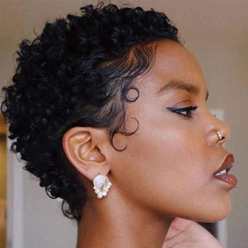 Luna S083 Women Afro Short Curly Hair Wig without Bangs