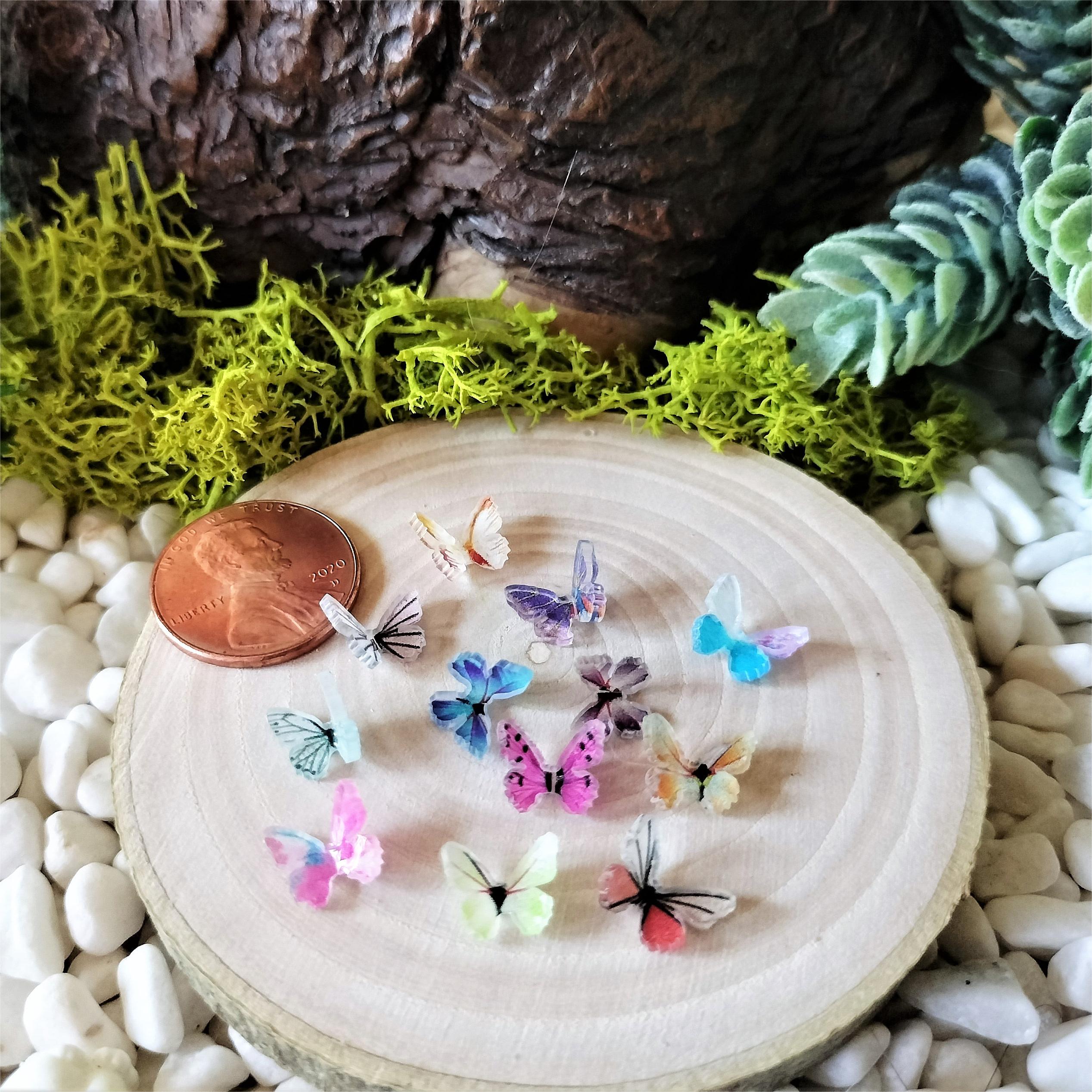 Tiny Butterfly🦋| Fairy Garden Accessories