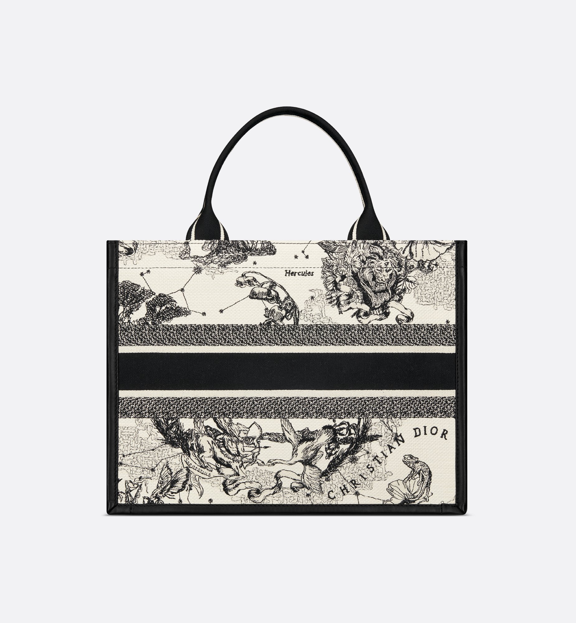 Dior Medium Book Tote Bag M1324CETW_M06E