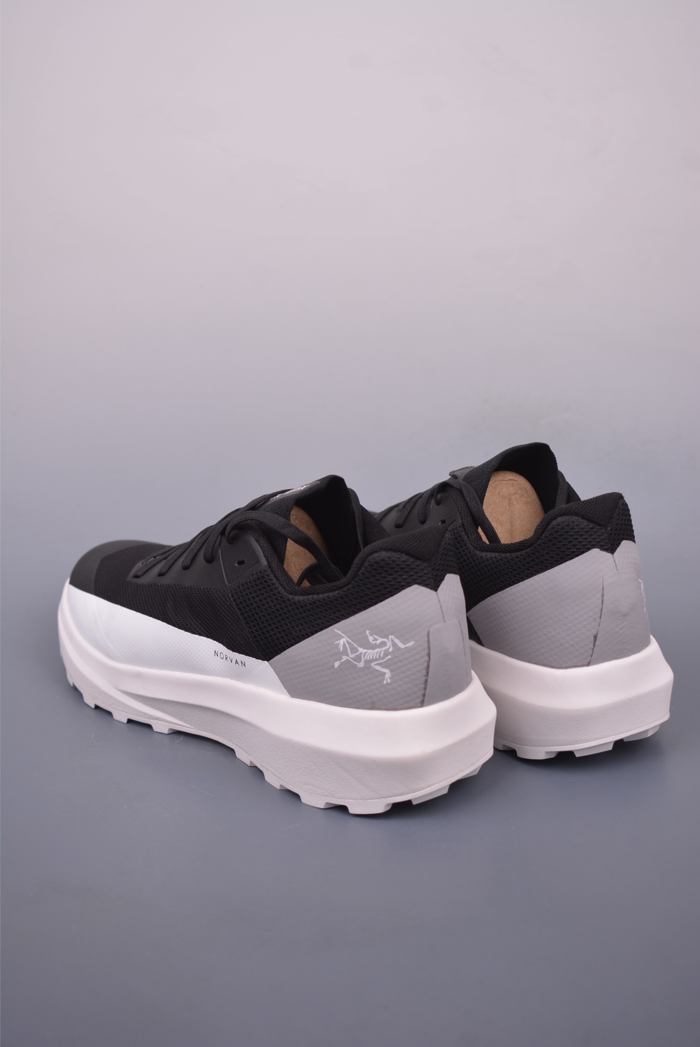 Arc'teryx Norvan LD 4 