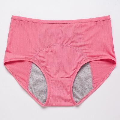 ON SALE🔥High Waist Leak Proof Panties 70% OFF Flash Sale