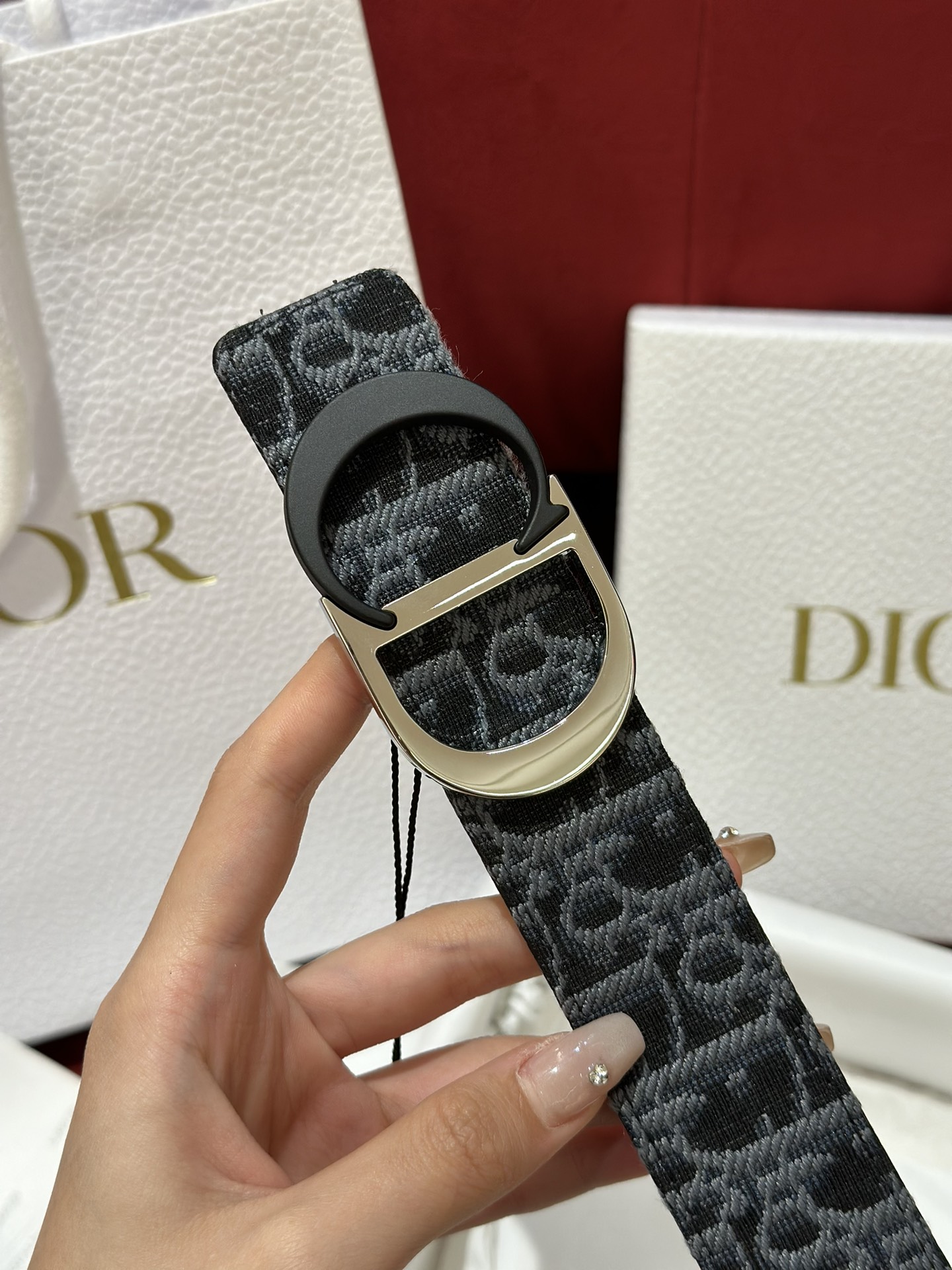 Dior CD Buckle Canvas Leather Belt 3.5CM Width