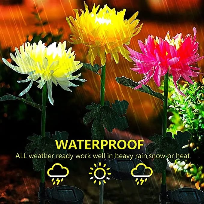 Spring Chrysanthemum Solar Garden Stake LED