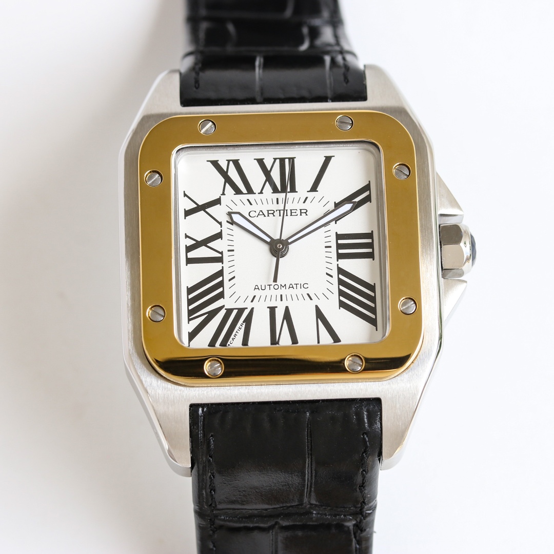 CARTIER Santos Series